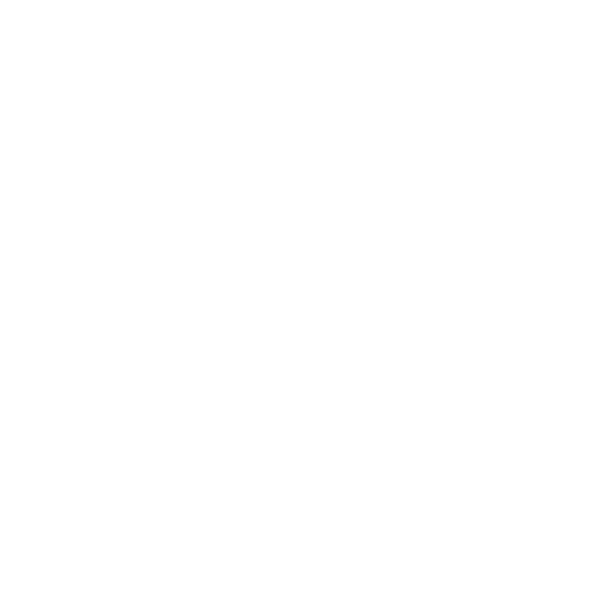 Oporto Dom Hugo